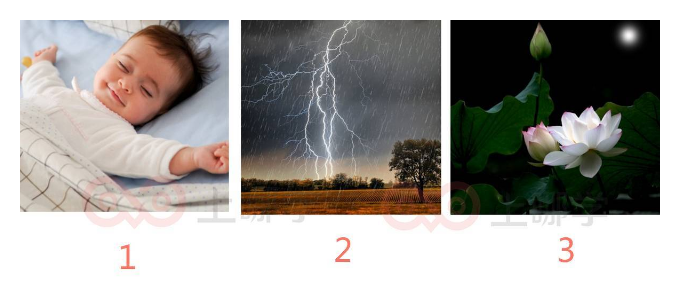 考核什么能力?上海小升初择校“奇葩”考题汇总