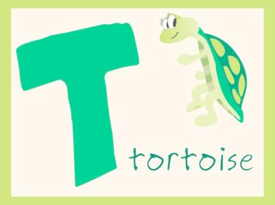 暑假一天一课学口语!day20-字母T的发音